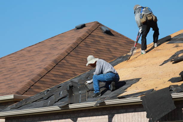 Best Solar Panel Roofing Installation  in Somers, MT